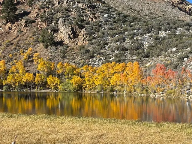 Scenic Beauty on Highway 395 