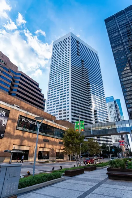 Houston Light & Color Diary