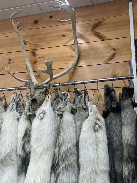 Discover Fairbanks' Coolest Gift Shop: An Arctic Treasure Hunt! 