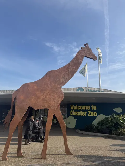 Manchester Surroundings | Visit the Capybaras at the Zoo