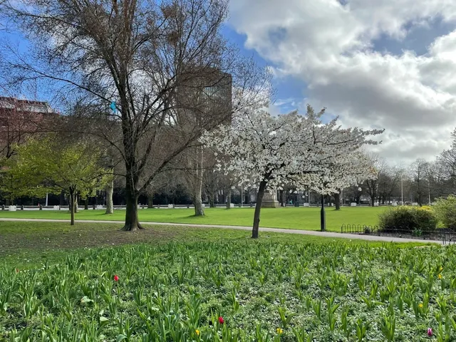 🏴󠁧󠁢󠁷󠁬󠁳󠁿 Cardiff Day Trip Guide for International Students