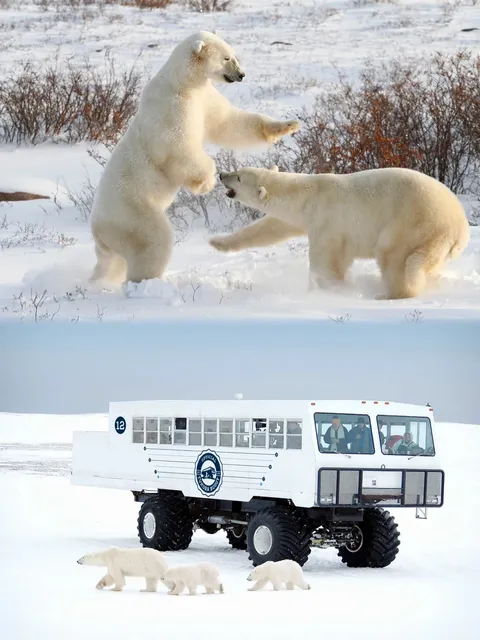 Canada | Winter Travel Recommendations