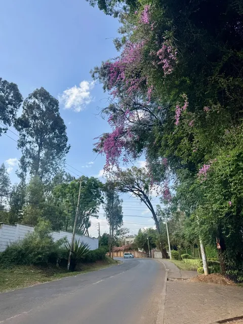 Exploring Nairobi : My First Impressions of Africa's Vibrant Capital