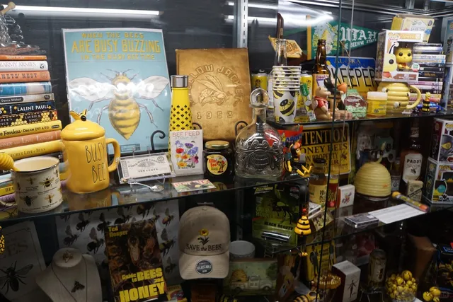 【ABQ Must-Visit】The Rattlesnake Museum 🐍✨