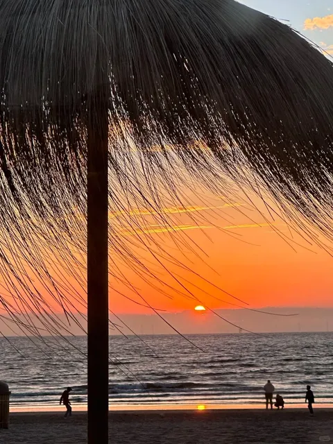 🇳🇱 Best of the Netherlands | Windmills + The Hague in One Day