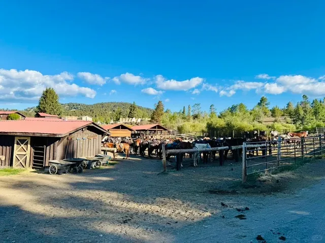 🇺🇸 A Travel Diary of Yellowstone National Park