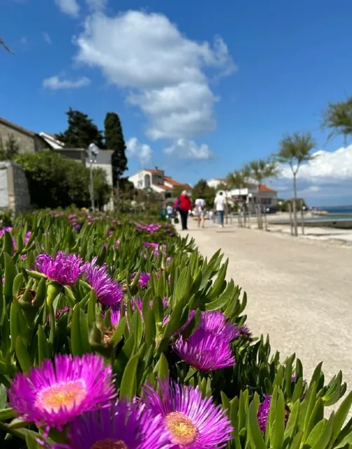 Croatia 🇭🇷 Where Serenity Meets Beauty