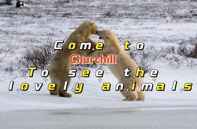 trip to the Churchill