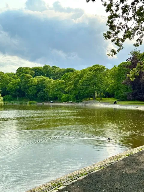 🇬🇧 Leazes Park: My Newcastle Sanctuary 🌳✨