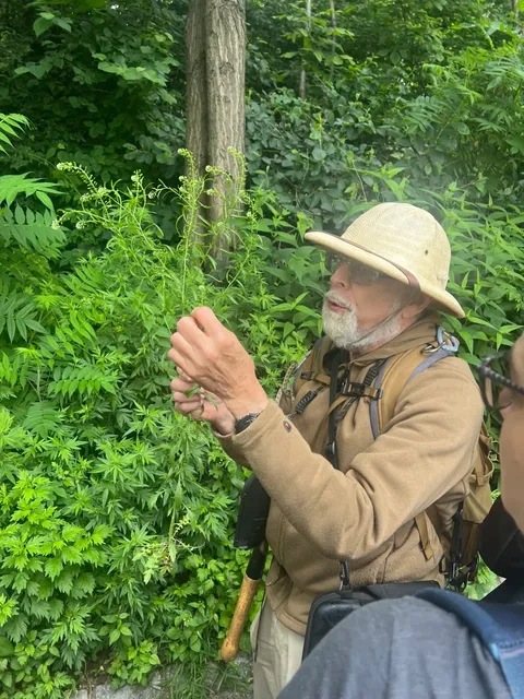 ​​Sketching Memories: Central Park Foraging Tour with Steve Hills 🌿🎨