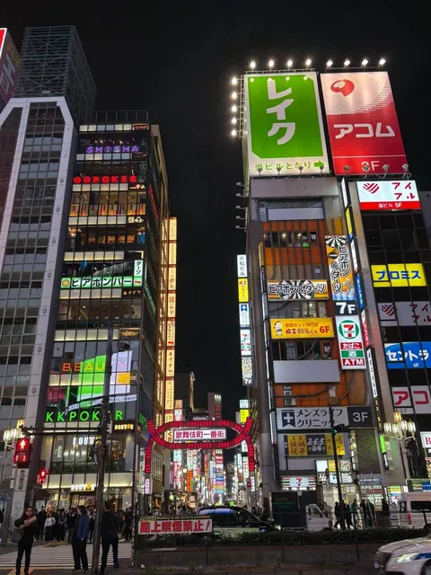 Asakusa Temple - Akihabara - Kabukicho (2) 🌇