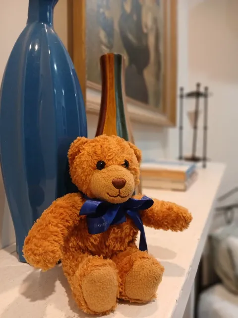 The Parsons Inn: Charleston’s Cozy Hidden Gem! 🏡💖