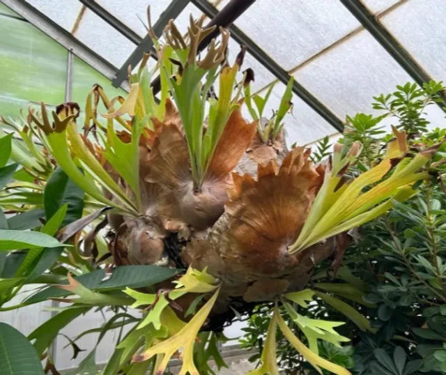 🌿 The Cleveland Botanical Garden | A Lush Oasis in University Circle