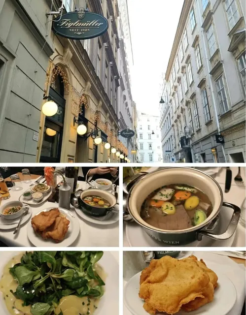 Vienna Food Guide 📖 Must-Try Restaurants Review!