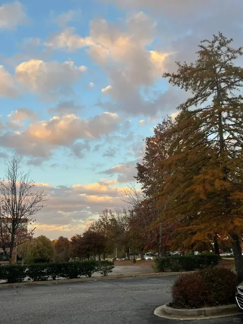 A Day Falling in Love with Greenville