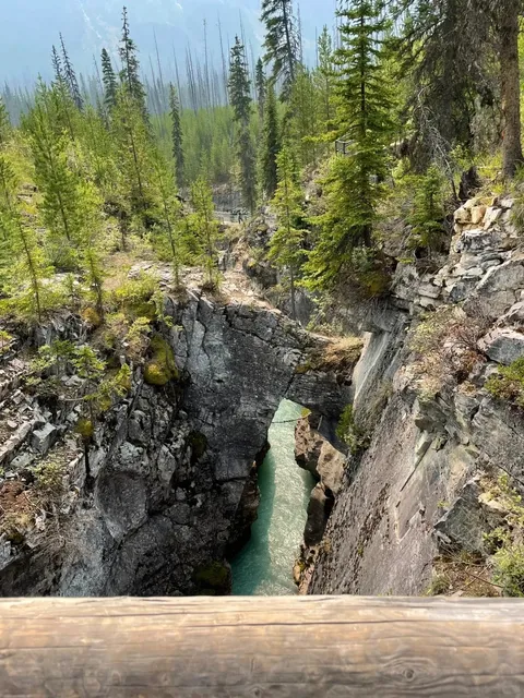 Around Calgary 🇨🇦 Drumheller Dinosaur Valley & Dinosaur Museum