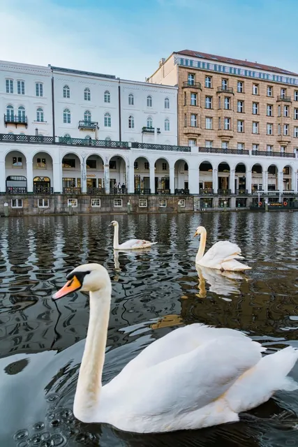 One-Day Travel Guide to Hamburg, Germany 🇩🇪