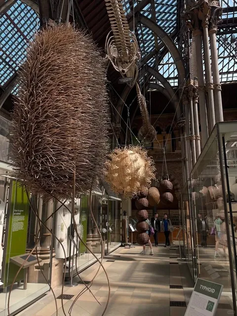 London’s Best-Kept Secret for Curious Minds​​