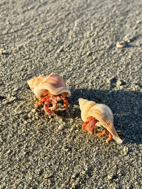 Tauranga Chill-Out Guide ｜New Zealand Blue 🇳🇿  