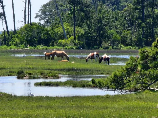 🌿 Relax and Rejuvenate – A Perfect Getaway at Refuge Inn! 🏞️