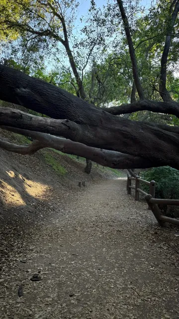 🇺🇸 Diamond Bar｜Sycamore Canyon Park - Morning Hike & Picnic 🌳☀️