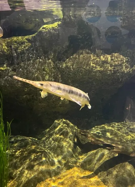 🐠 Virginia Aquarium & Marine Science Center Virginia Beach