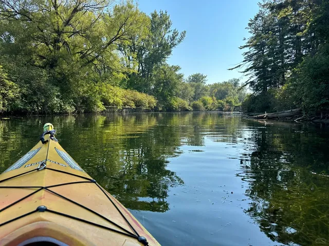 Toronto Island · Paddling and SUP Adventure in the City 🚣