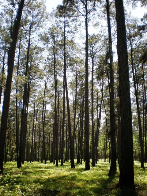 Houston North America Weekend