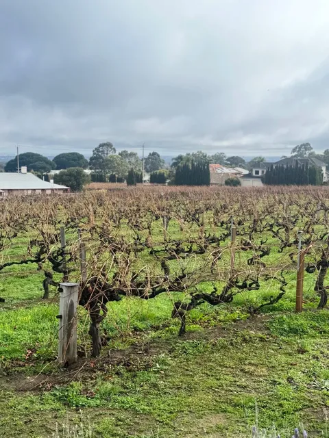 Must-Voist in Adelaide: Penfolds Magill Estate Half-Day Guide ✨