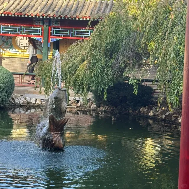  Magic in Bendigo！🍁✨