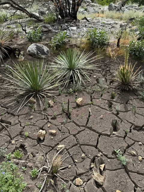 📍 Weekly Hike: Bridge to Nowhere