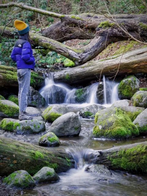 Post-Dinner Stroll in Bellevue