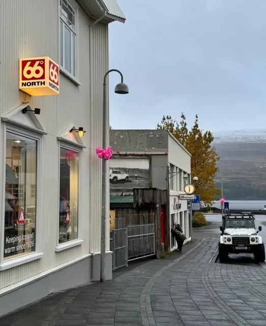 🇮🇸 One-Day Trip to Akureyri, Iceland 🌿