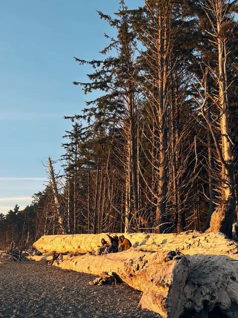 📍 Seattle 4-Day Itinerary Day 3: Olympic National Park