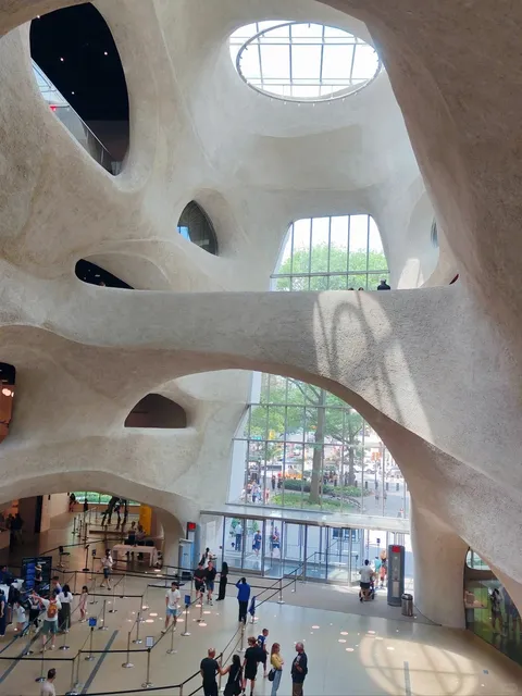 🦖 NYC's Ultimate Summer Kid Spot | American Museum of Natural History