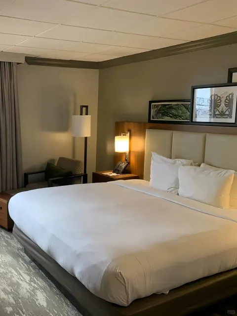 New Orleans Hidden Gem! This Hotel Is Unbelievably Affordable! 💎