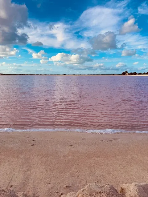 📍Las Coloradas Pink Lake 🦩💖