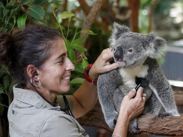 Finally! The Ultimate Brisbane Travel Guide You Need‼️