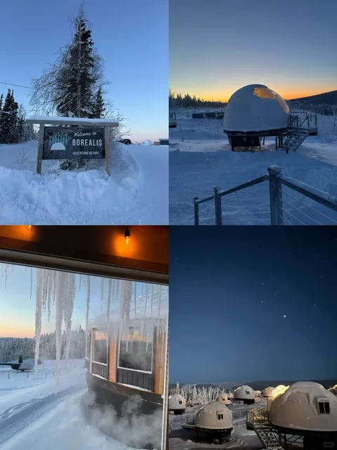 🌟 Alaska Fairbanks Borealis Basecamp 