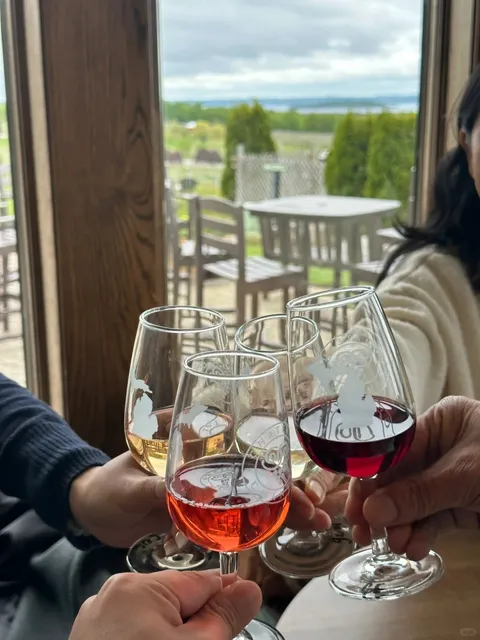 🇺🇸 Northern Michigan | Wine Tasting in Traverse City 🍷✨