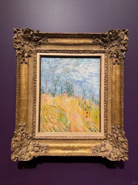 🖼 Denver Art Museum – Pricey but Worth It! 🎨