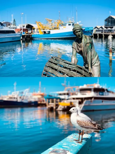 🇦🇺 Western Australia | Fremantle: This Artsy Town Gets 100/10! 💯