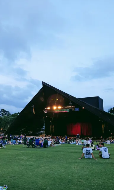 Houston | The Hidden Outdoor Cinema in the Park