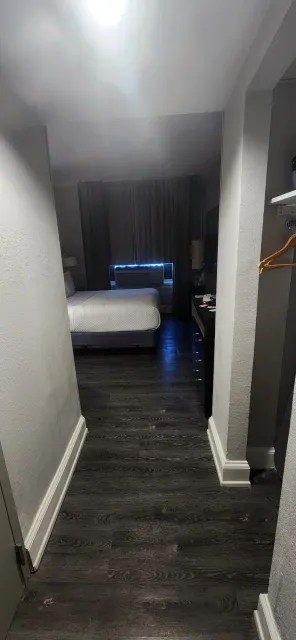 🌟 Come Check Out IndiGo – An Absolute Gem of a Hotel! 🌟