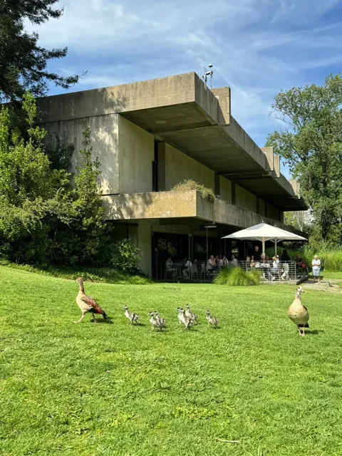 Portugal | Lisbon INFP Must-Visit Museum to Soak Up the Sun 🌞