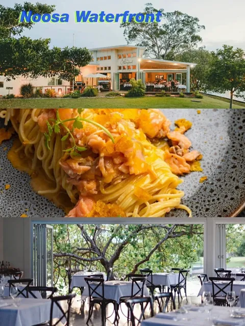 Sunshine Coast Dining & Bar Guide: Local Favorites 🍽️ 