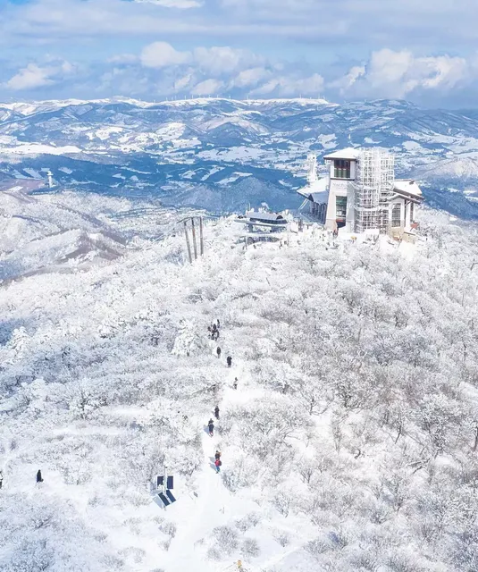 Discover the Enchanting Winter Wonderland of Gangwon Province, South Korea ❄️✨