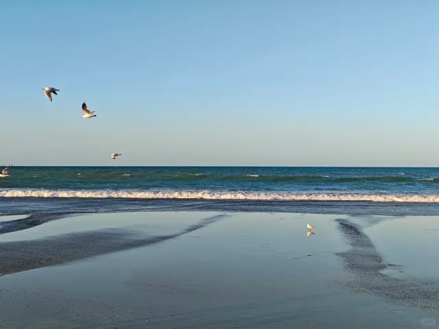 🇳🇿 Tauranga: NZ's Hidden Coastal Gem That Stole My Heart