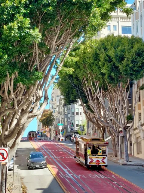 48 Hours in San Francisco: The Ultimate Instagram Itinerary! 💥