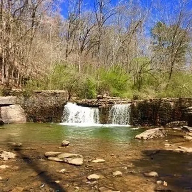 ATL Parks Guide: Perfect for Kids & Dogs 🐶👧🌳